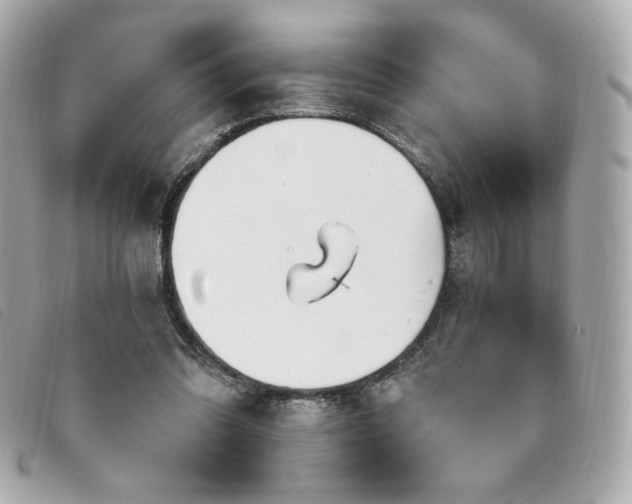 X0000094230302200710261301