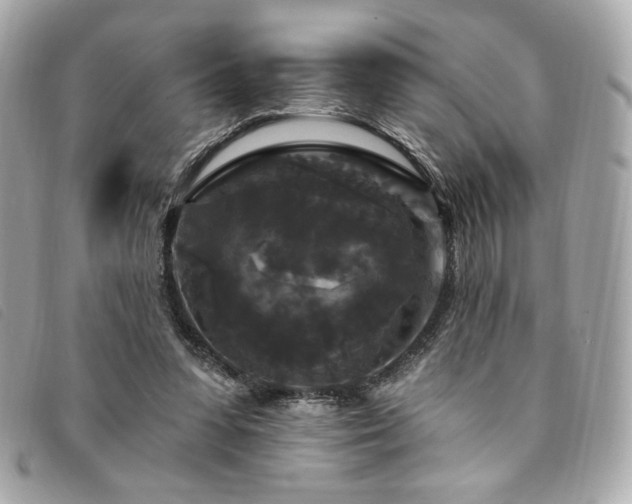 X0000094230303200710261301