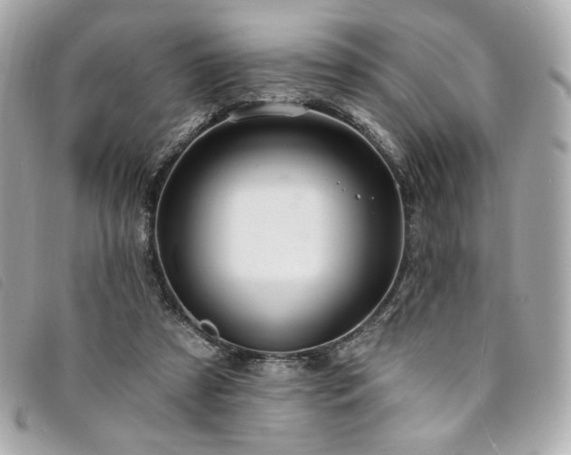 X0000094230305200710261301