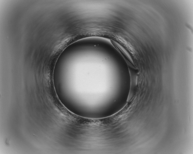 X0000094230306200710261301