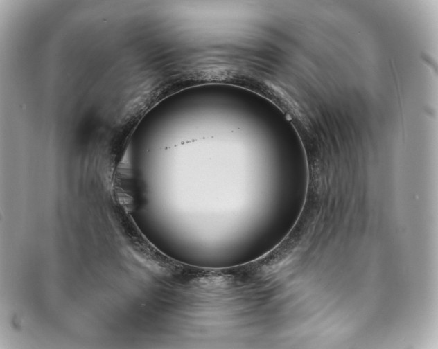 X0000094230307200710261301