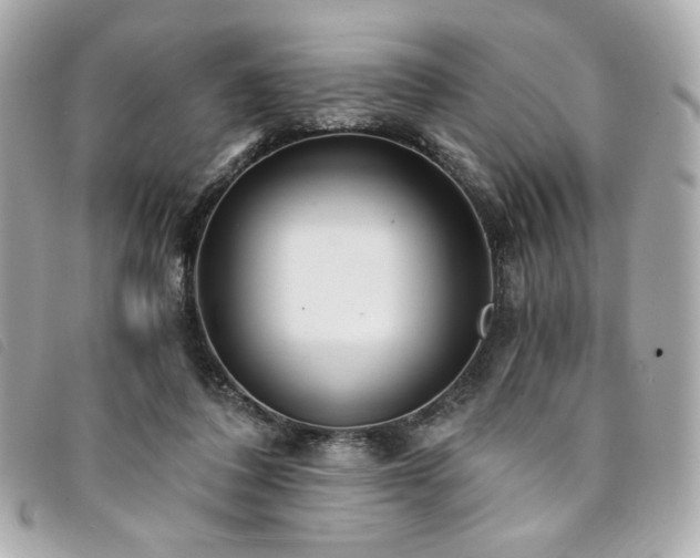 X0000094230308200710261301