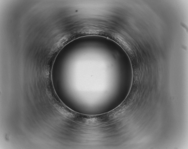 X0000094230309200710261301