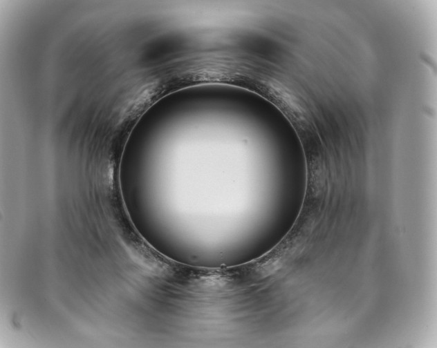 X0000094230310200710261301