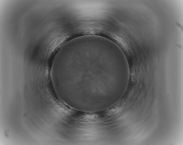 X0000094230314200710261301