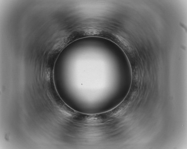 X0000094230315200710261301