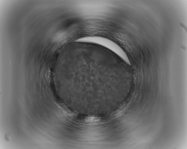 X0000094230319200710261301