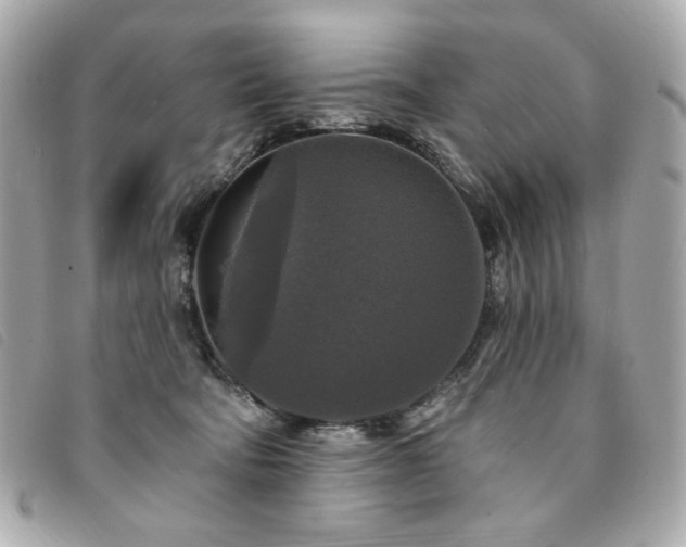 X0000094230322200710261301