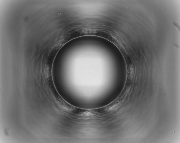 X0000094230323200710261301
