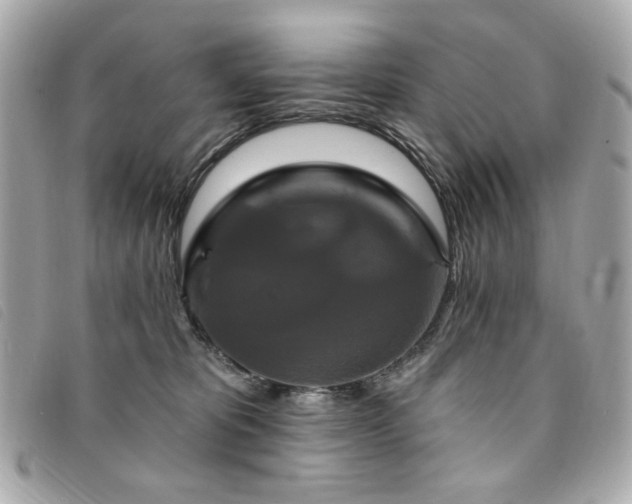 X0000094230325200710261301