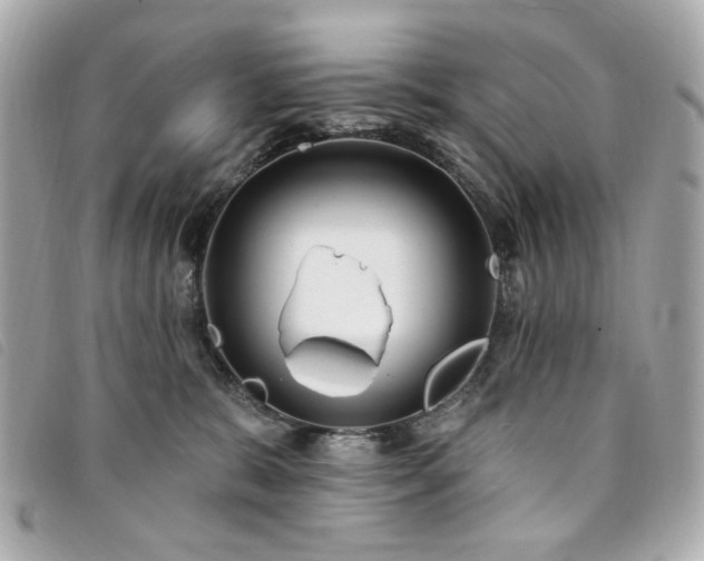 X0000094230327200710261301