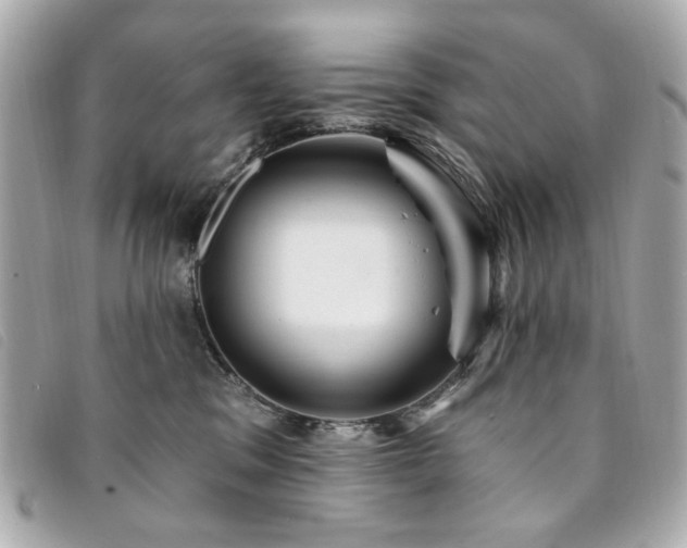 X0000094230329200710261301