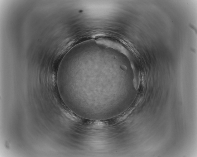 X0000094230330200710261301