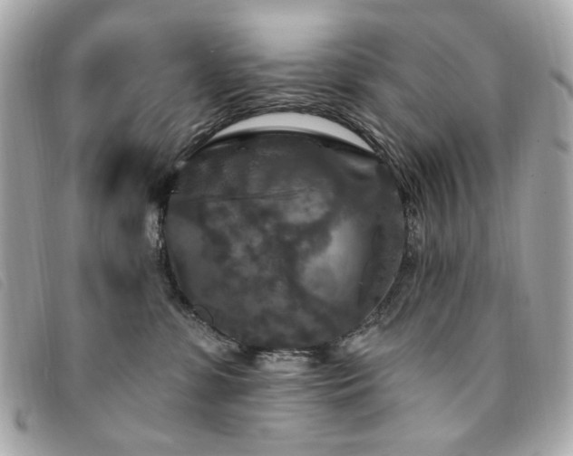 X0000094230331200710261301