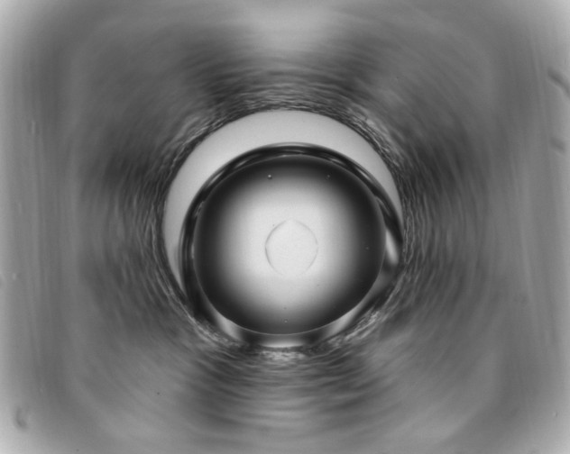 X0000094230333200710261301