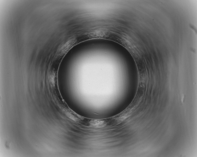 X0000094230334200710261301