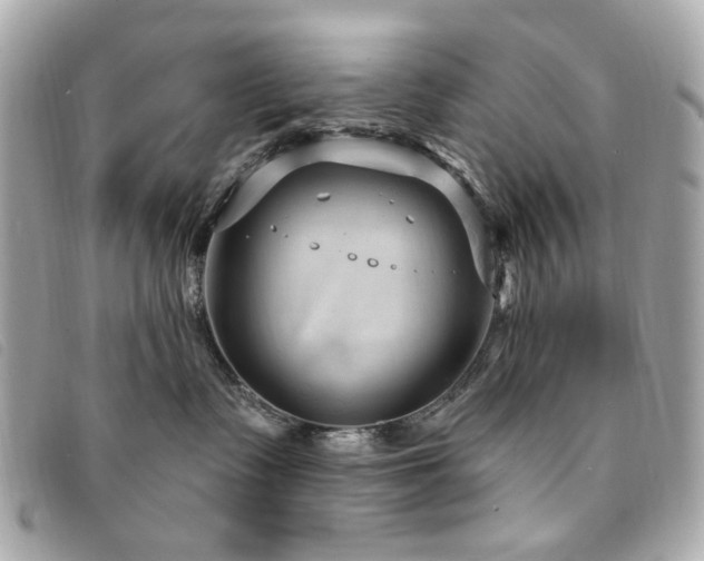 X0000094230335200710261301
