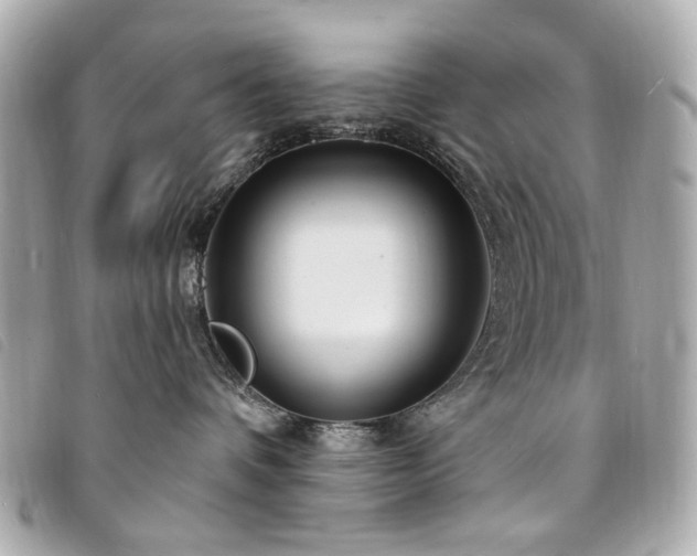 X0000094230336200710261301