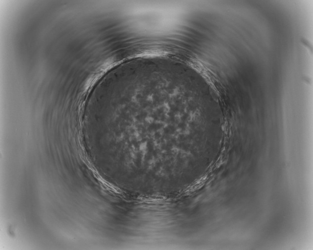 X0000094230337200710261300