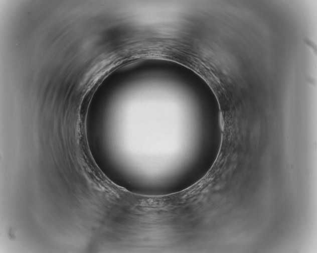 X0000094230338200710261300