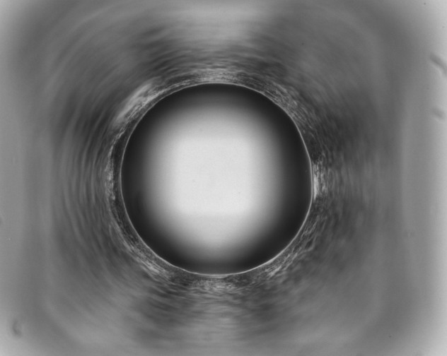X0000094230339200710261300