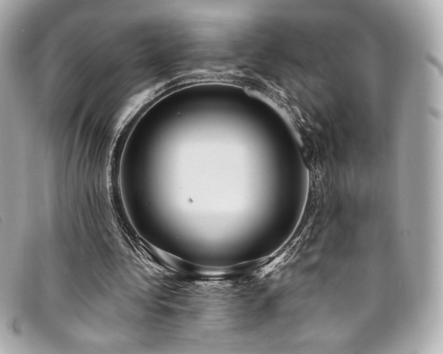 X0000094230340200710261300