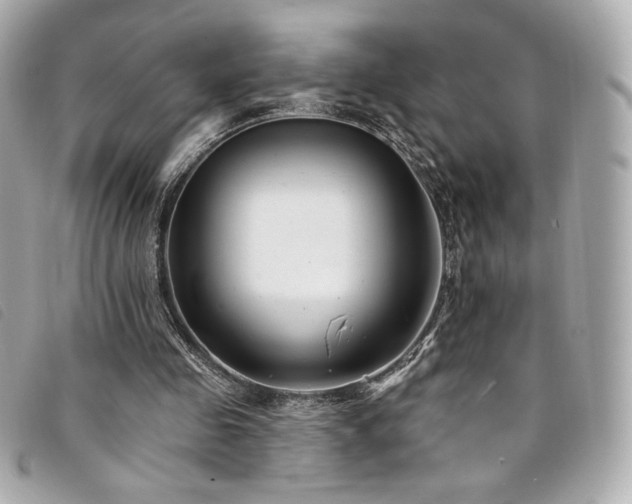 X0000094230341200710261300