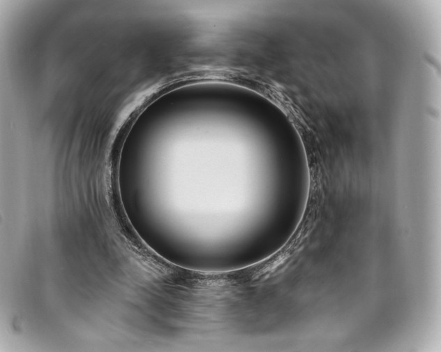 X0000094230342200710261300