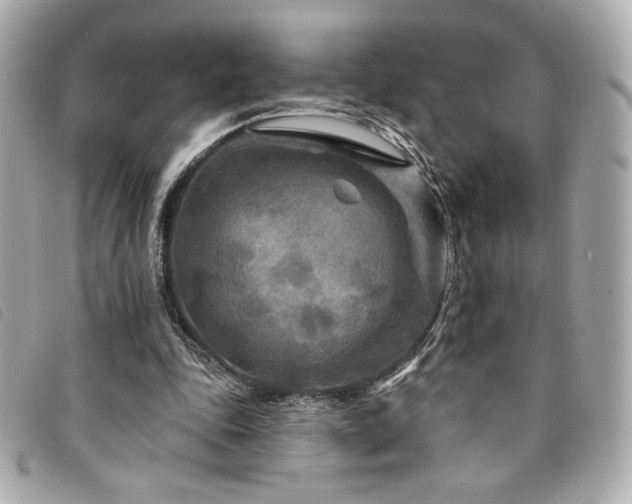 X0000094230343200710261300