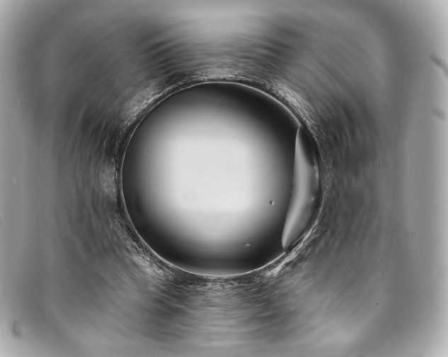 X0000094230345200710261300