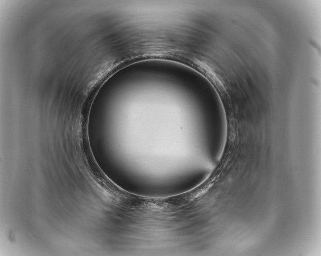 X0000094230346200710261300