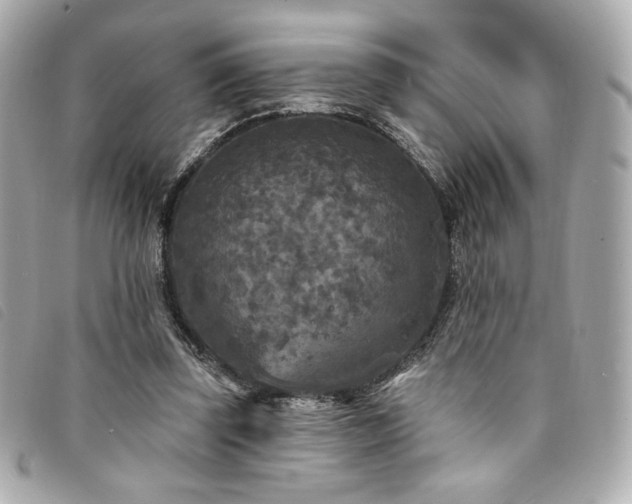X0000094230347200710261300