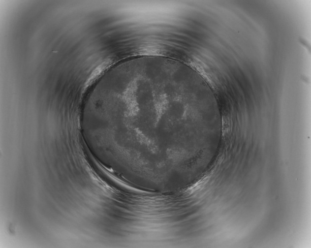 X0000094230349200710261300
