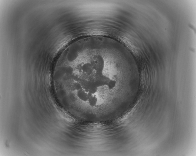 X0000094230351200710261300