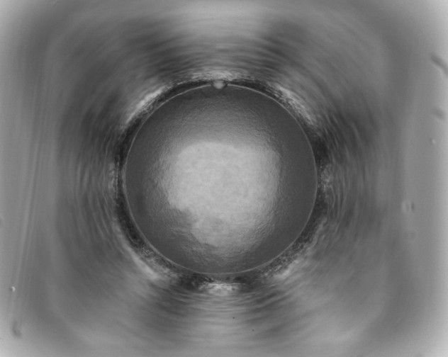 X0000094230352200710261300