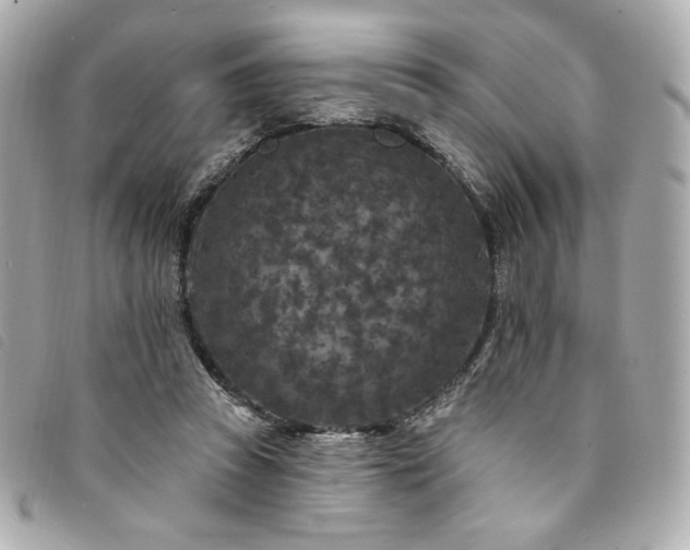 X0000094230353200710261300