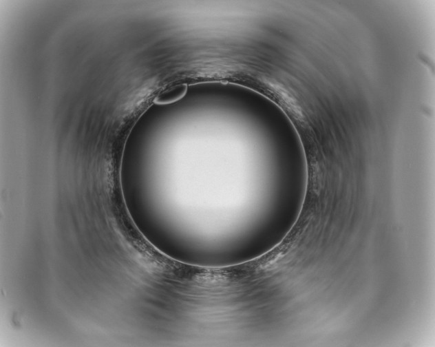 X0000094230354200710261300