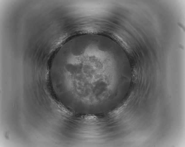 X0000094230355200710261300