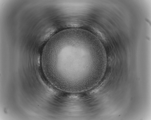 X0000094230358200710261300