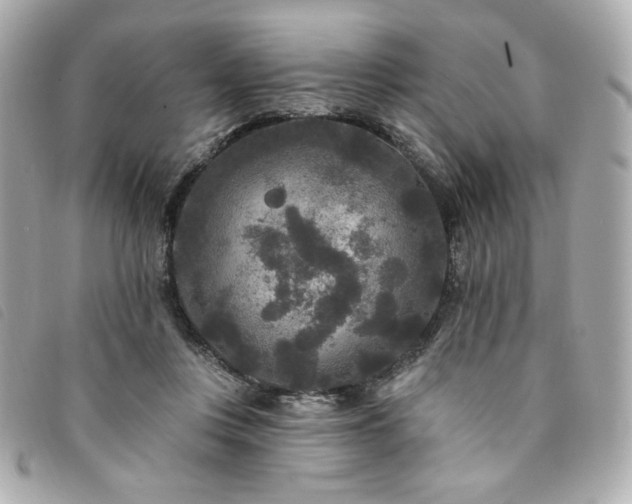 X0000094230359200710261300