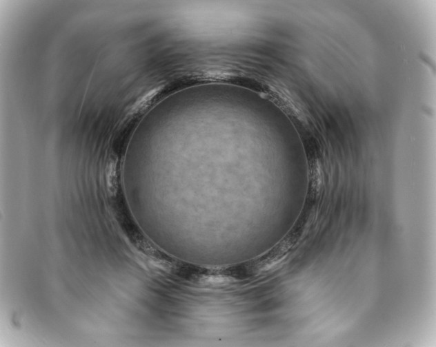 X0000094230360200710261300