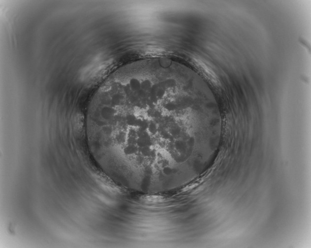 X0000094230361200710261300