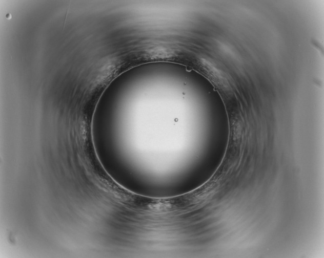 X0000094230362200710261300