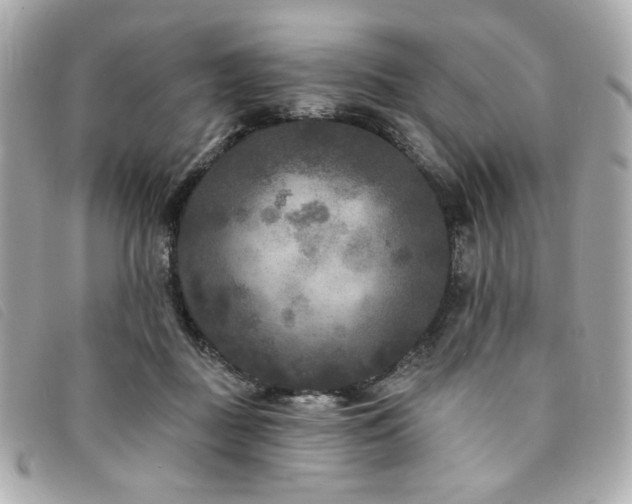 X0000094230363200710261300