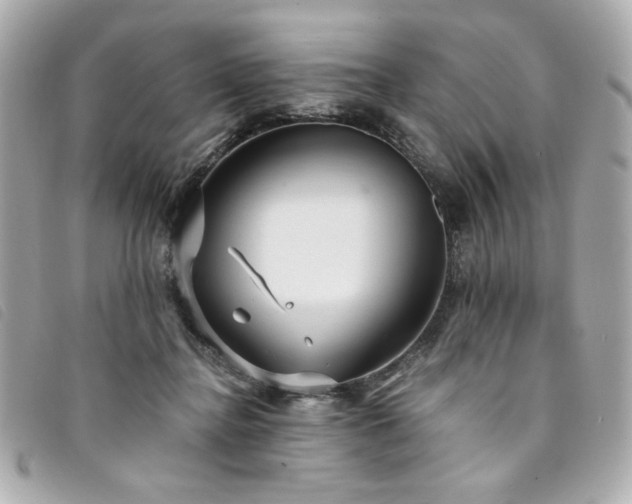 X0000094230364200710261300