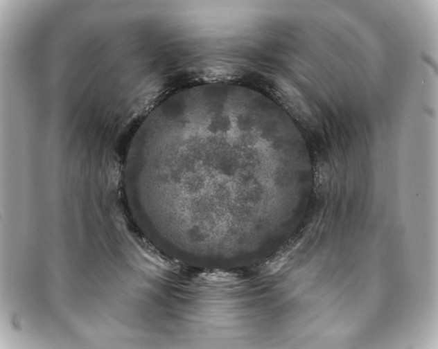 X0000094230367200710261301
