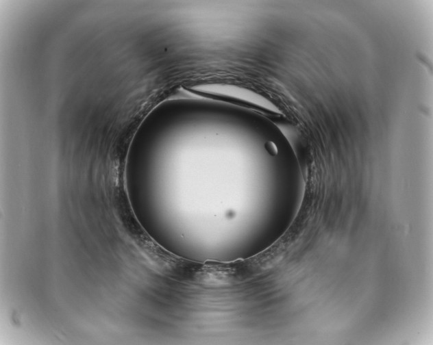 X0000094230368200710261301