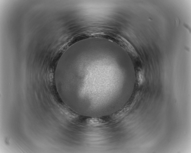 X0000094230372200710261301