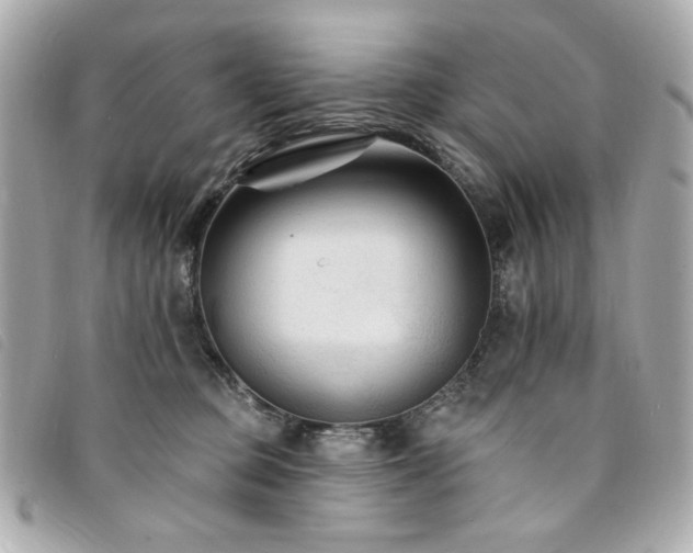 X0000094230373200710261301