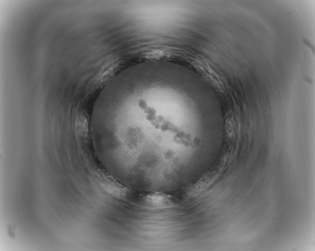X0000094230375200710261301